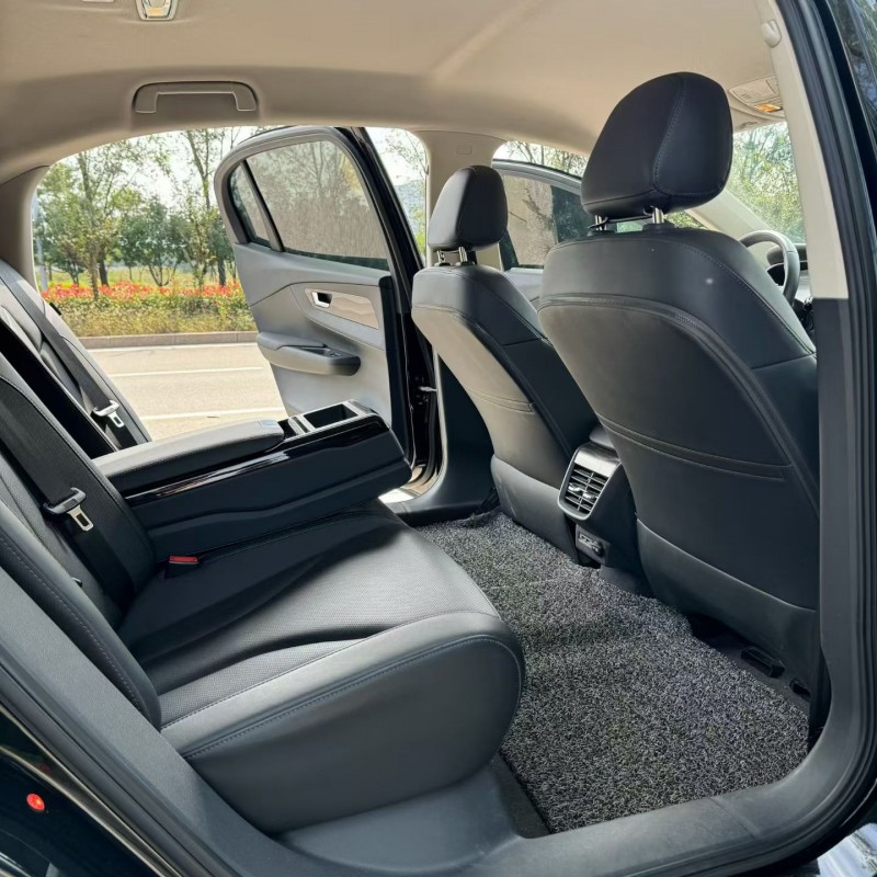 23年泰安红旗E-QM5