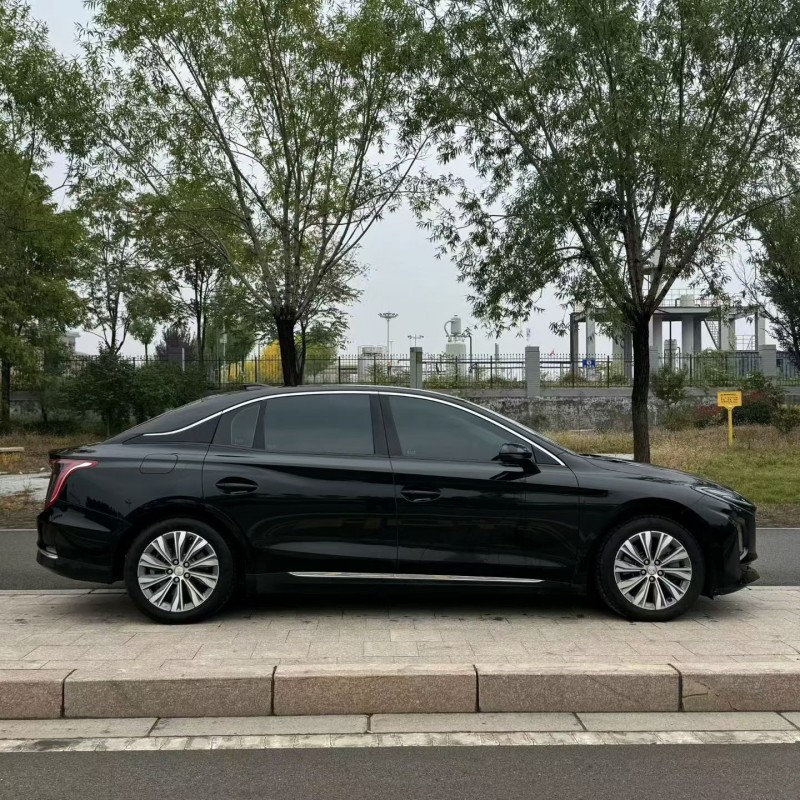 24年济宁红旗E-QM5