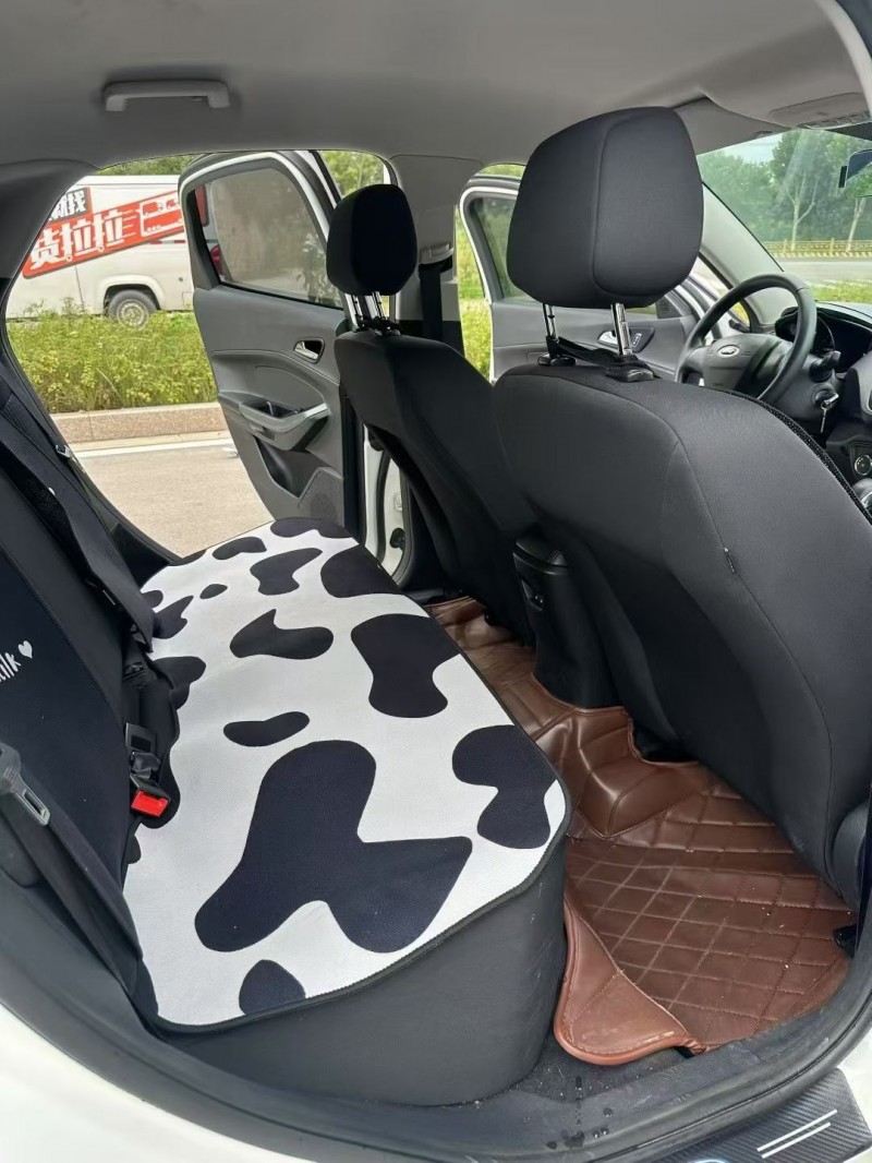 21年烟台福特福睿斯