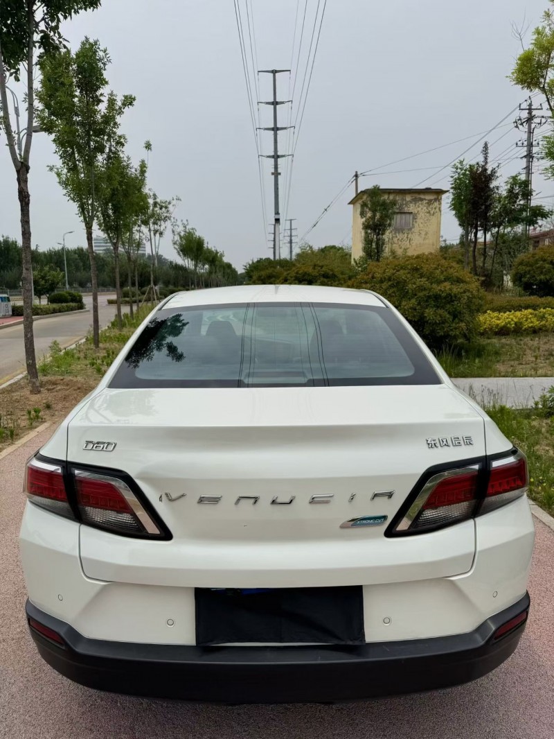 19年潍坊启辰D60