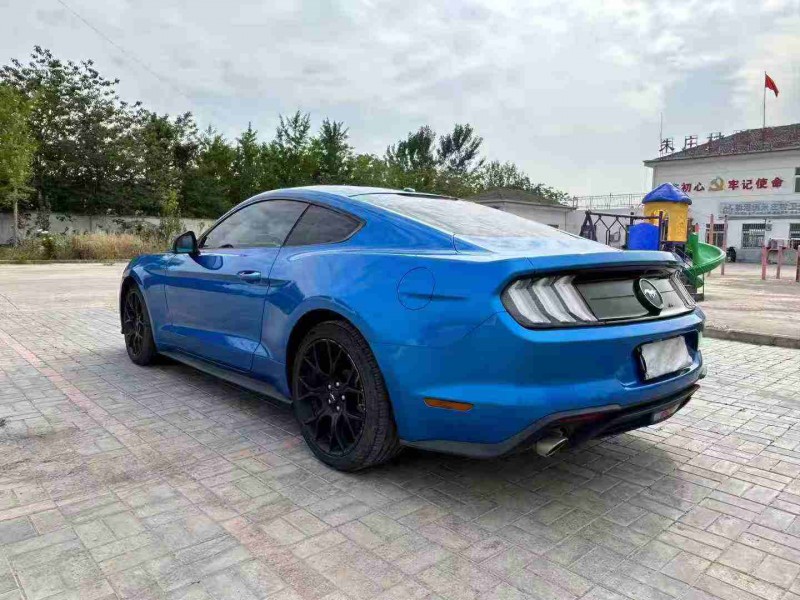 19年徐州福特野马