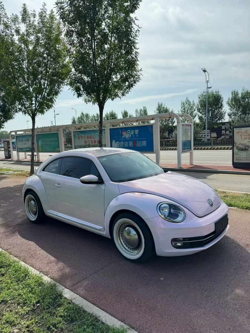 14年枣庄大众甲壳虫