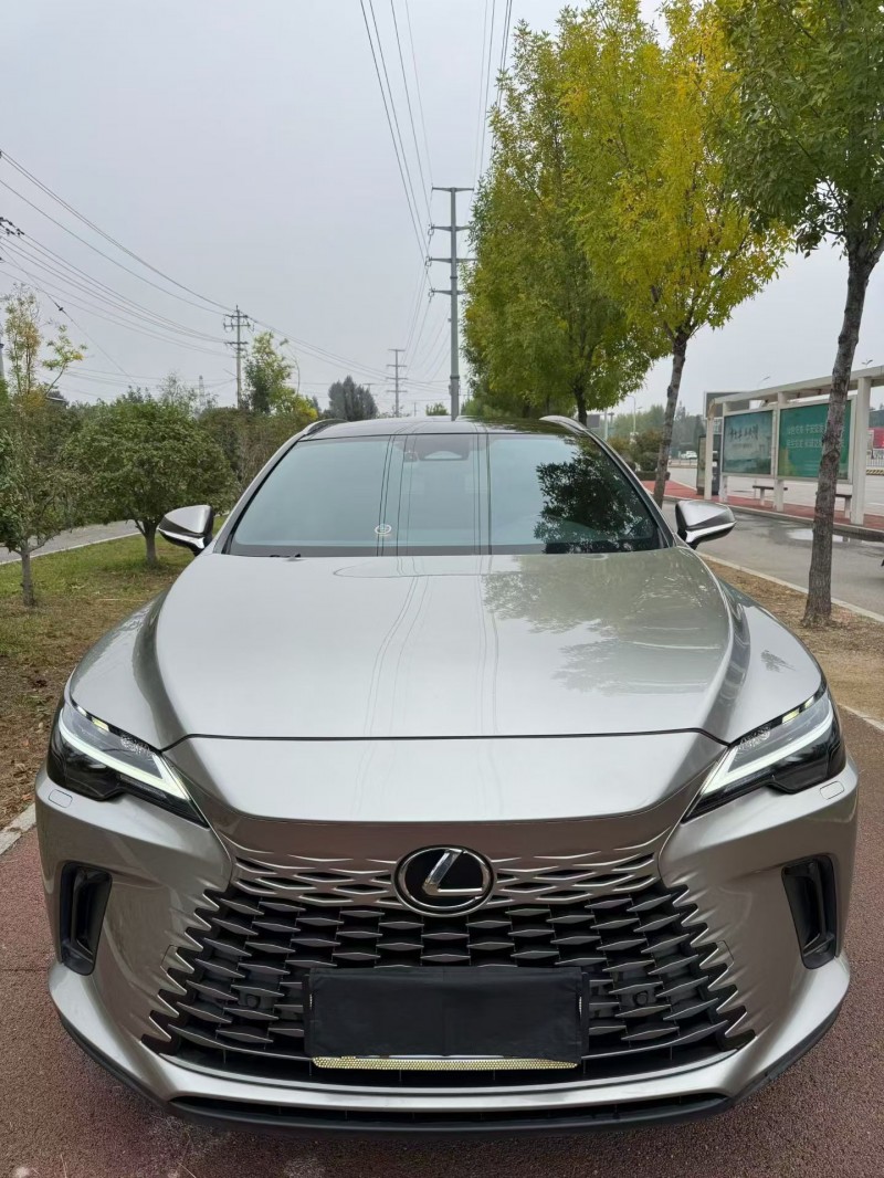 24年枣庄雷克萨斯RX