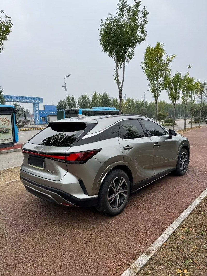 24年枣庄雷克萨斯RX