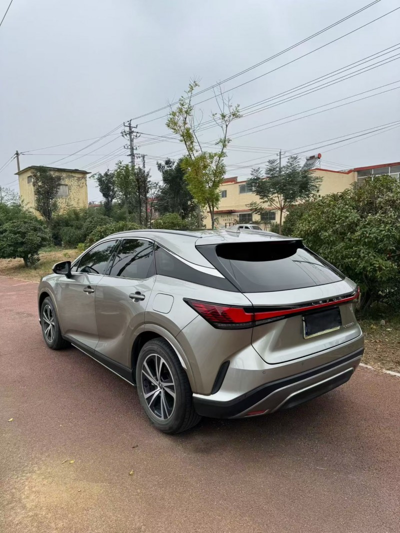 24年枣庄雷克萨斯RX