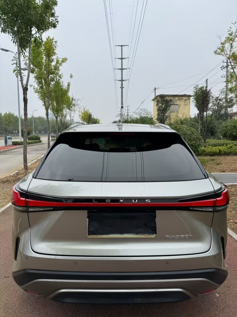 24年枣庄雷克萨斯RX