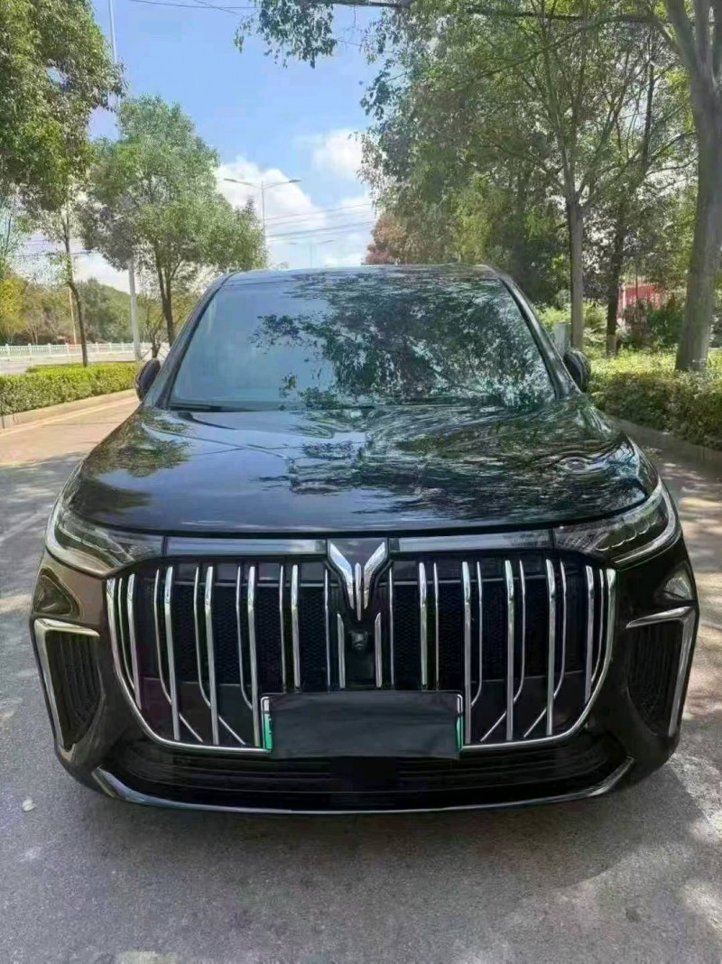 23年宜春岚图汽车梦想家