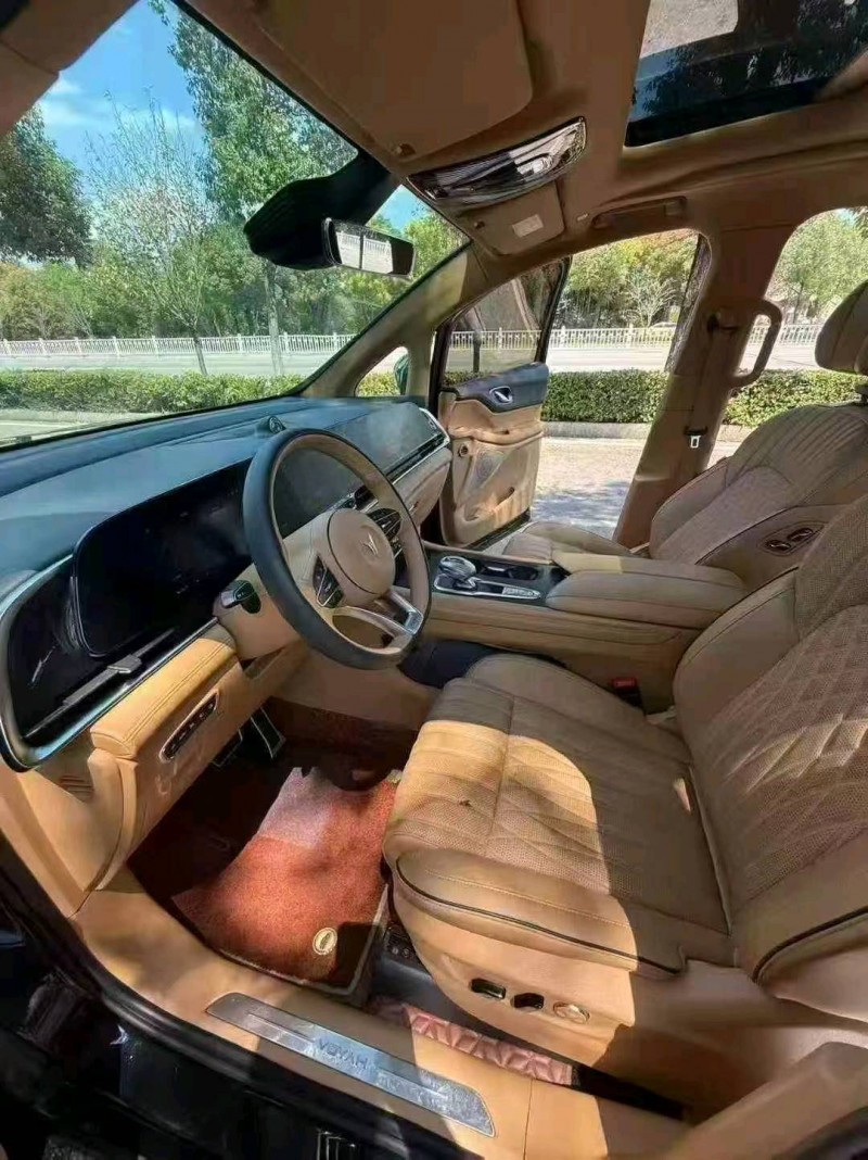 23年宜春岚图汽车梦想家