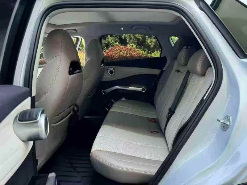 24年枣庄比亚迪元