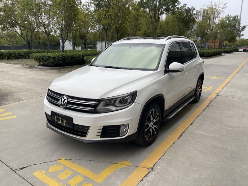 14年济宁大众途观