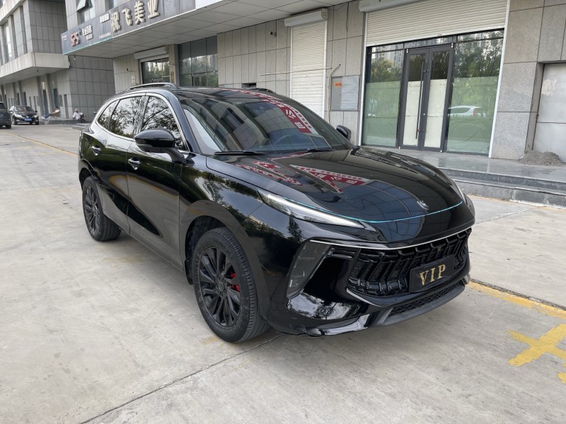 23年济宁东风风行游艇