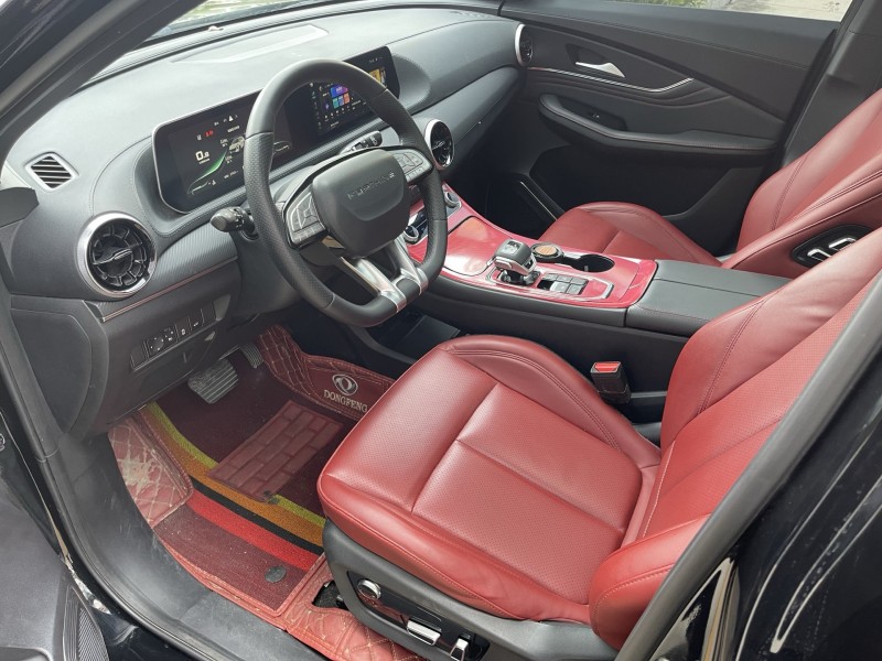 23年济宁东风风行游艇