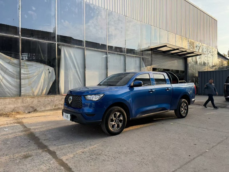 21年徐州长城汽车炮 皮卡