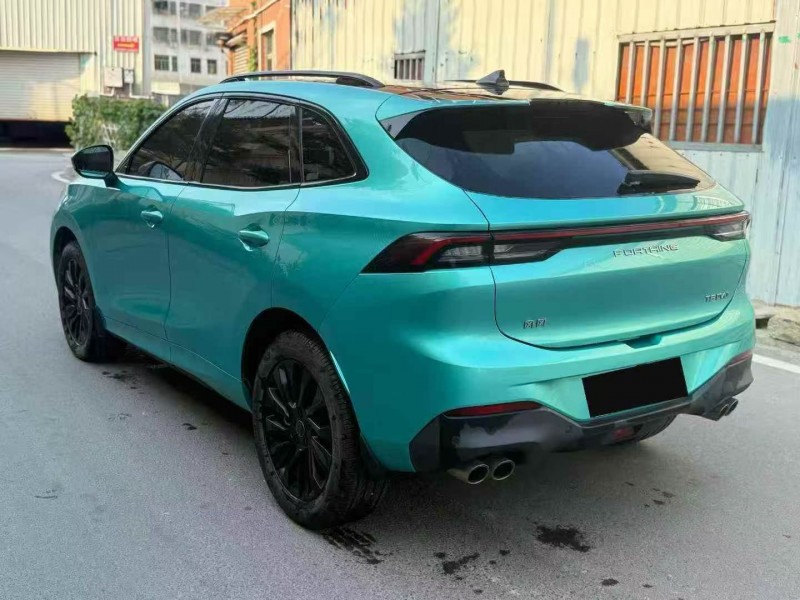 21年莆田东风风行游艇