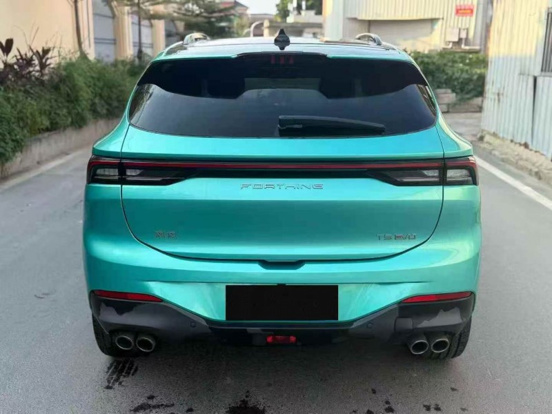 21年莆田东风风行游艇