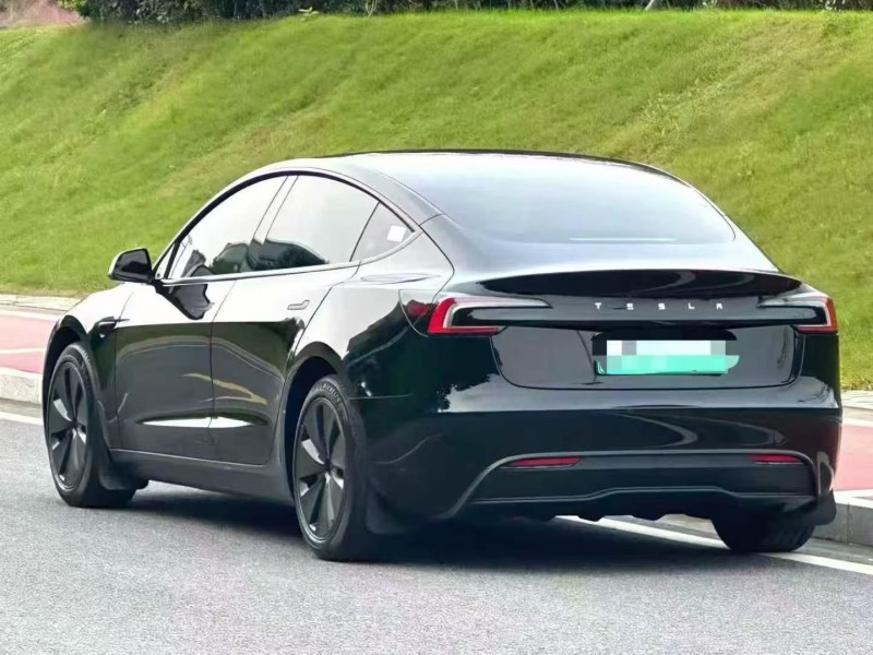 24年重庆市特斯拉MODEL 3