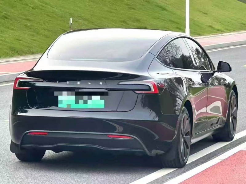 24年重庆市特斯拉MODEL 3