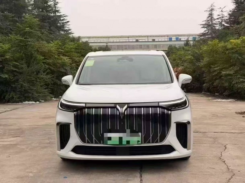 22年平顶山岚图汽车梦想家