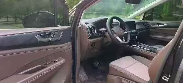 24年平顶山大众威然