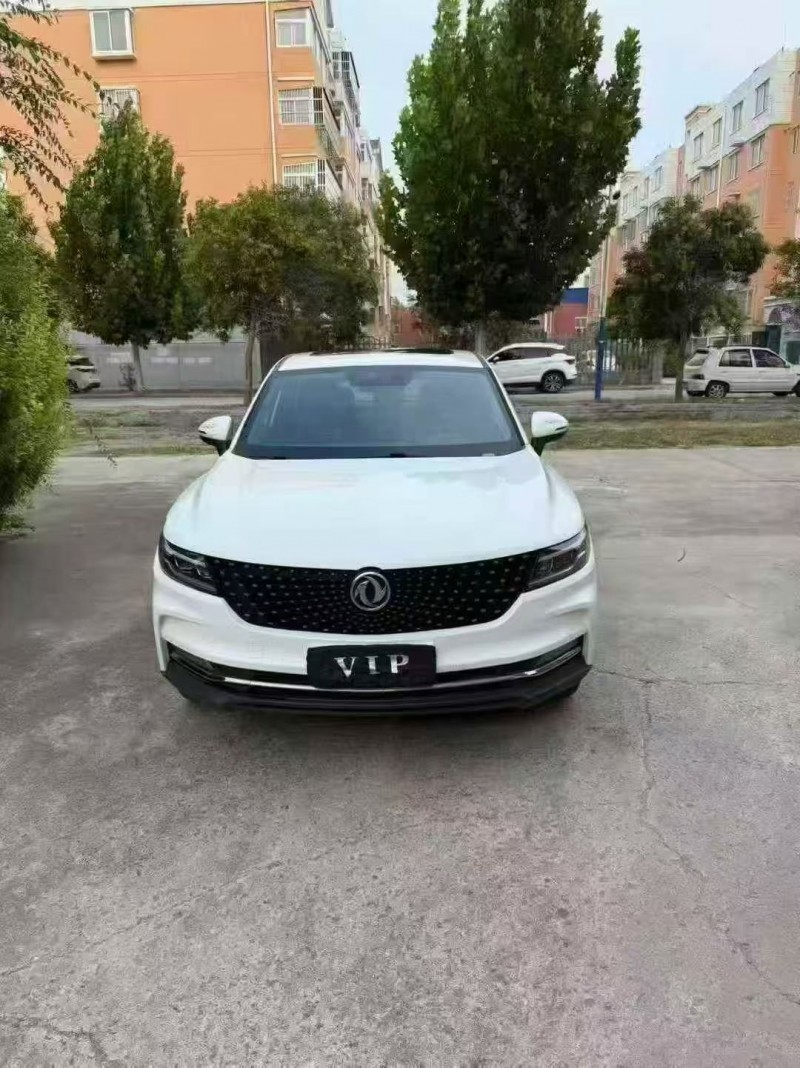 19年东营东风风光