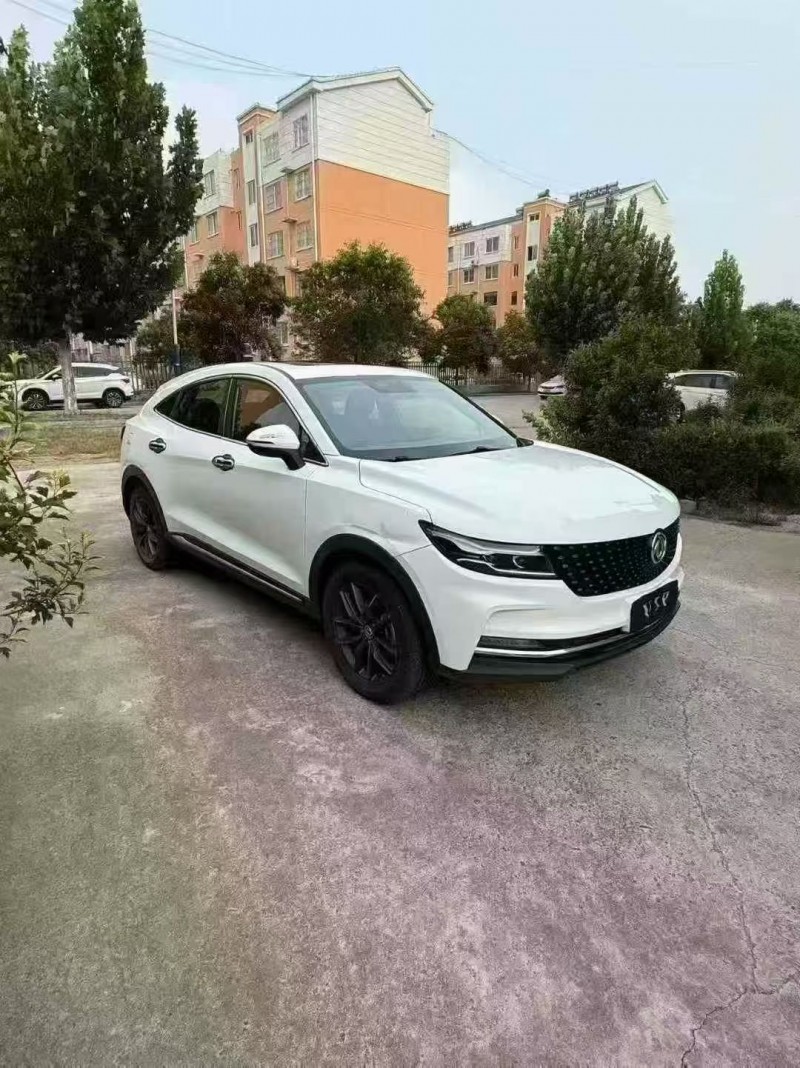 19年东营东风风光