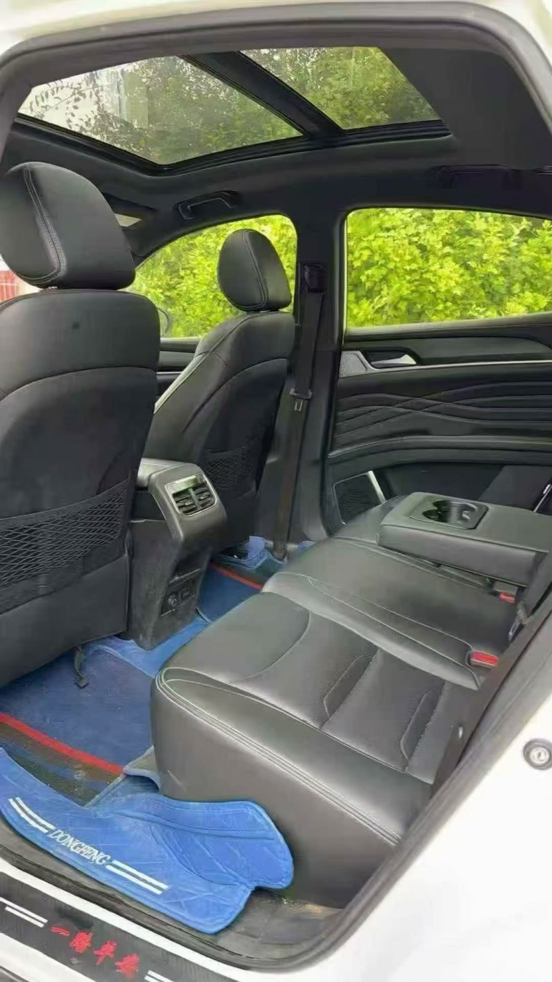 19年东营东风风光