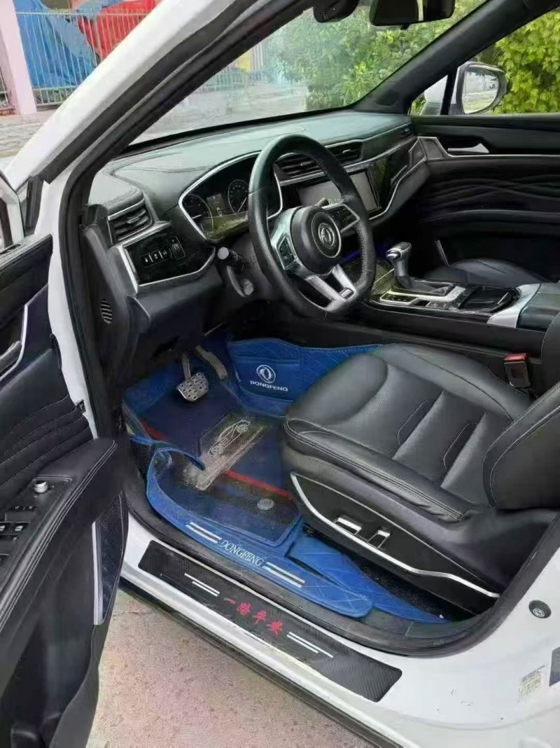 19年东营东风风光