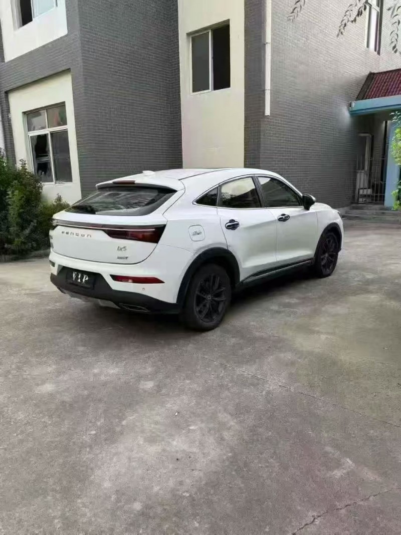 19年东营东风风光