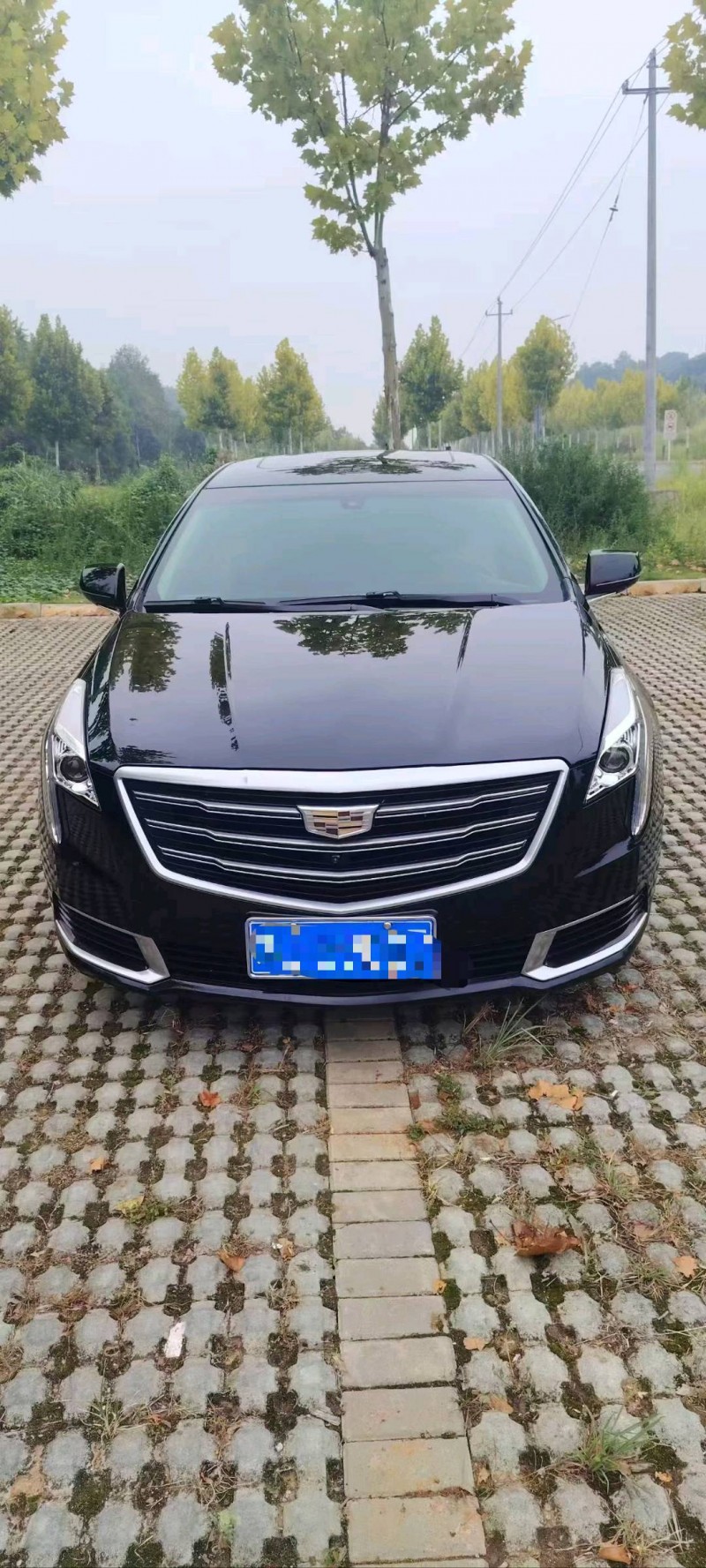 19年抚州凯迪拉克XTS