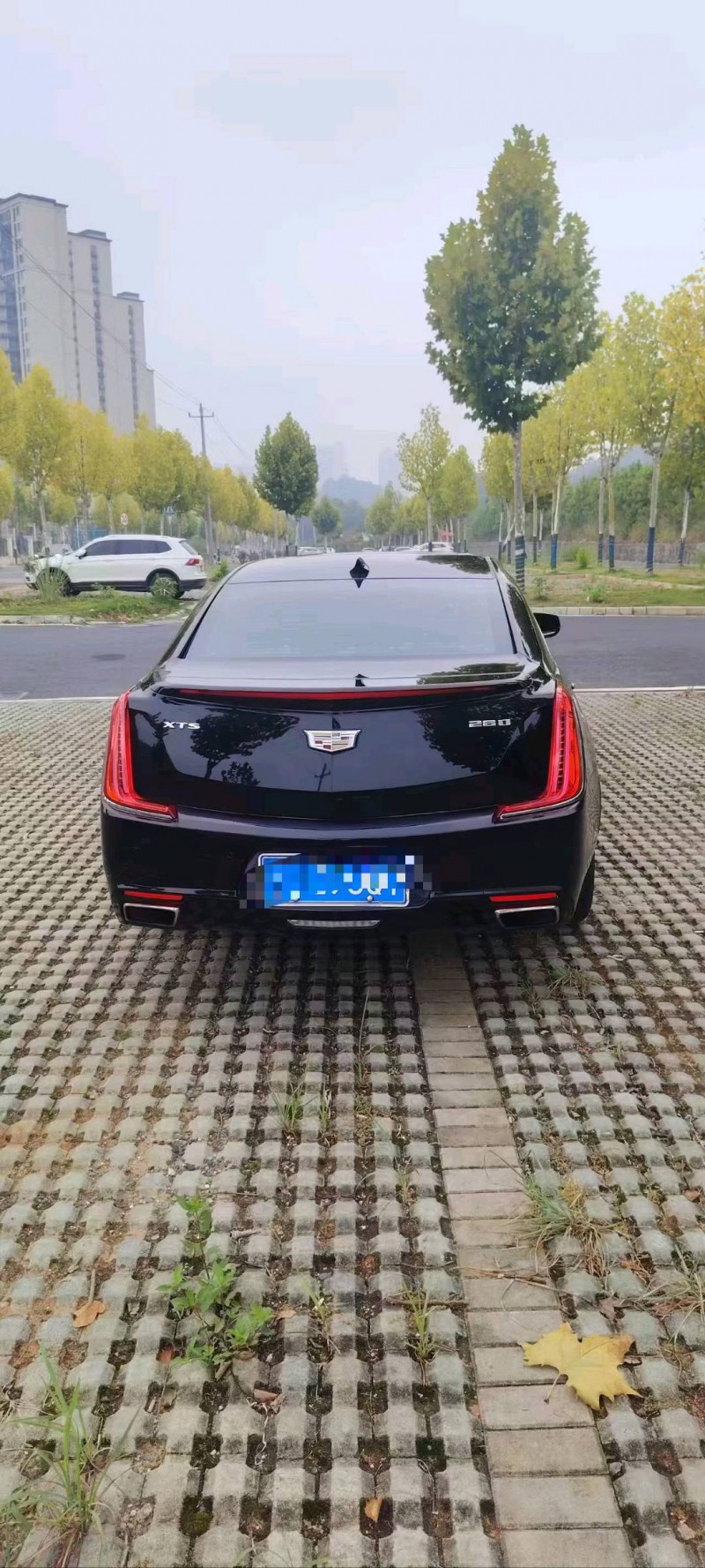 19年抚州凯迪拉克XTS