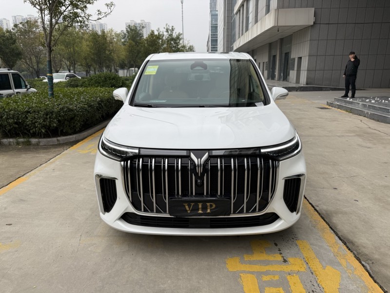 25年济宁岚图汽车梦想家