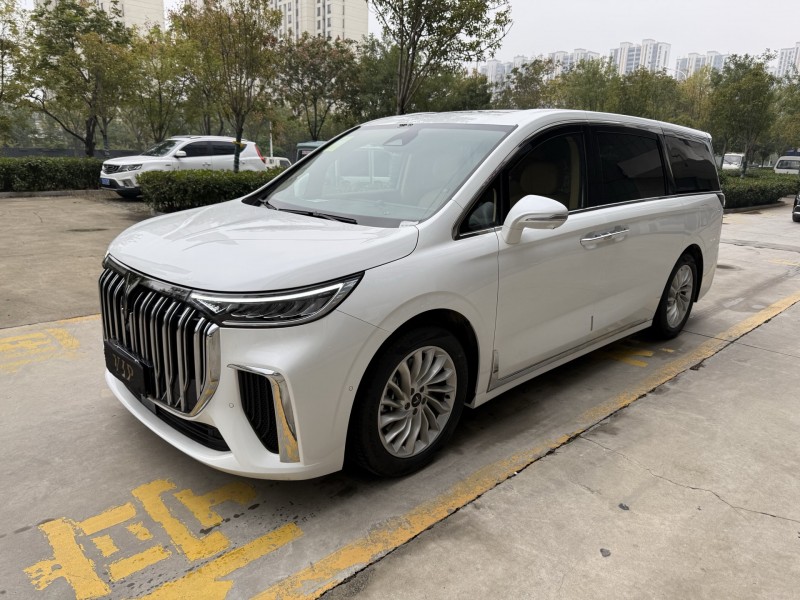 25年济宁岚图汽车梦想家