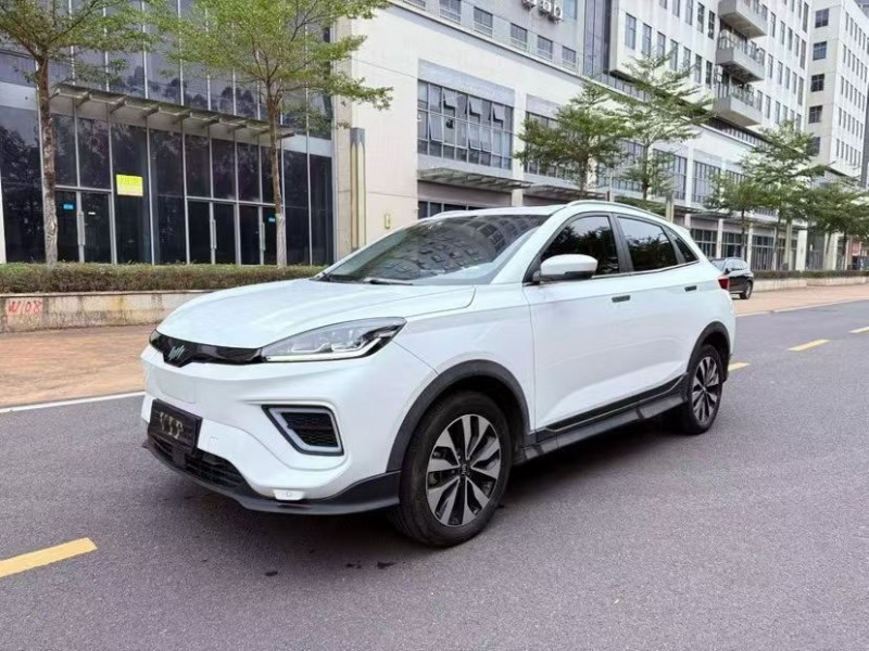 23年茂名威马汽车EX-5