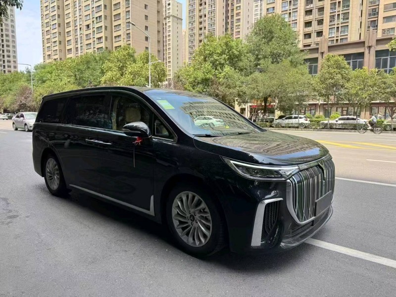 25年宝鸡岚图汽车梦想家