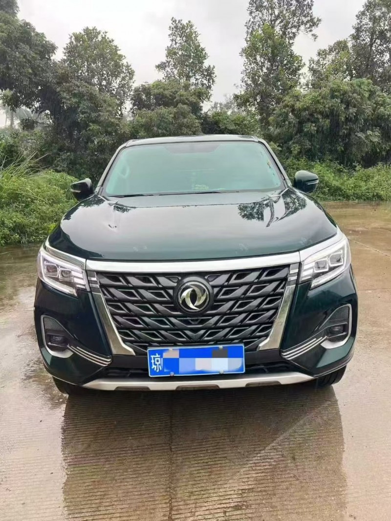 24年北海东风锐骐皮卡