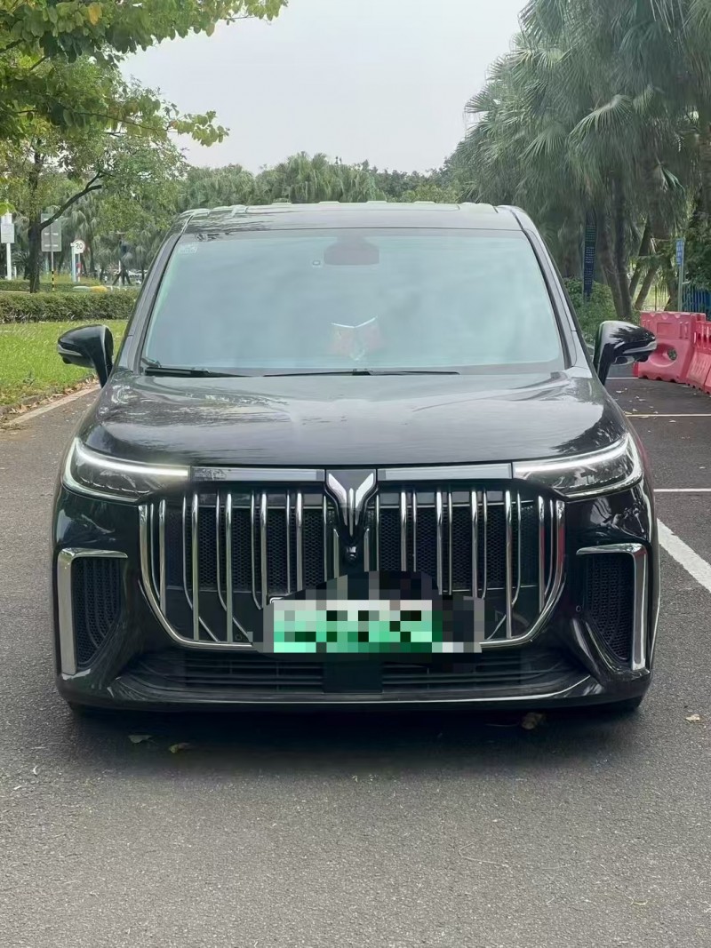 24年济宁岚图汽车梦想家