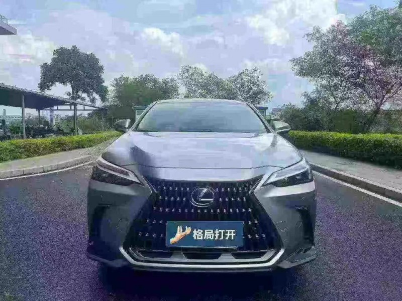 23年深圳雷克萨斯NX