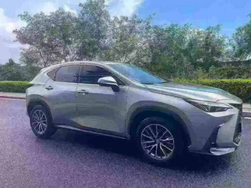 23年深圳雷克萨斯NX