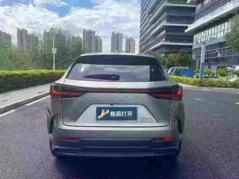 23年深圳雷克萨斯NX