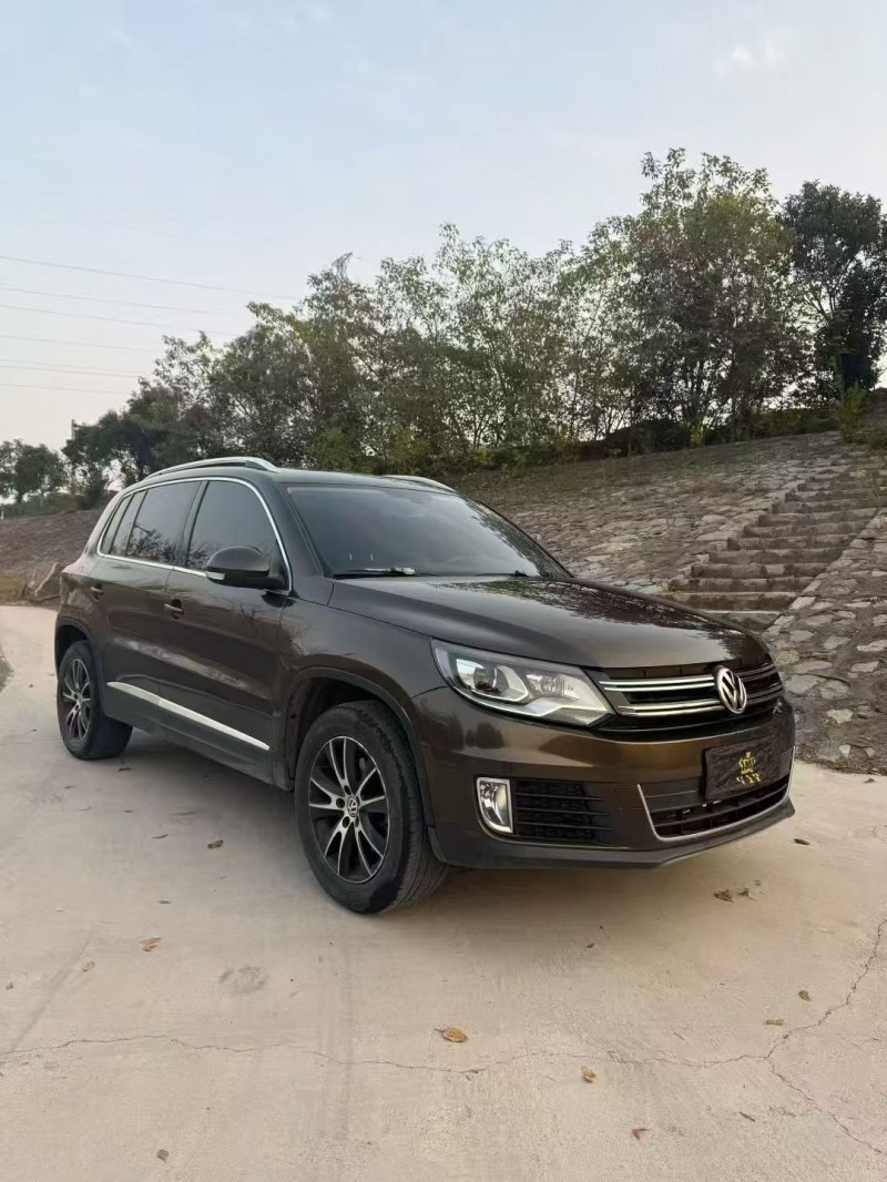 16年安阳大众途观