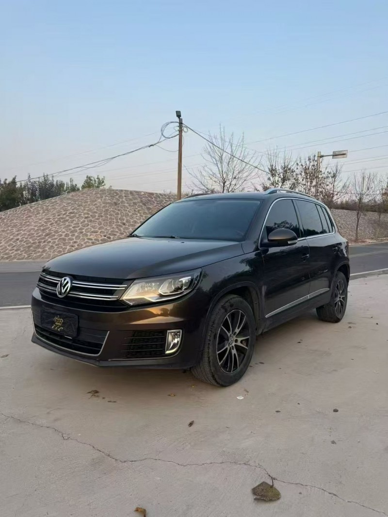 16年安阳大众途观