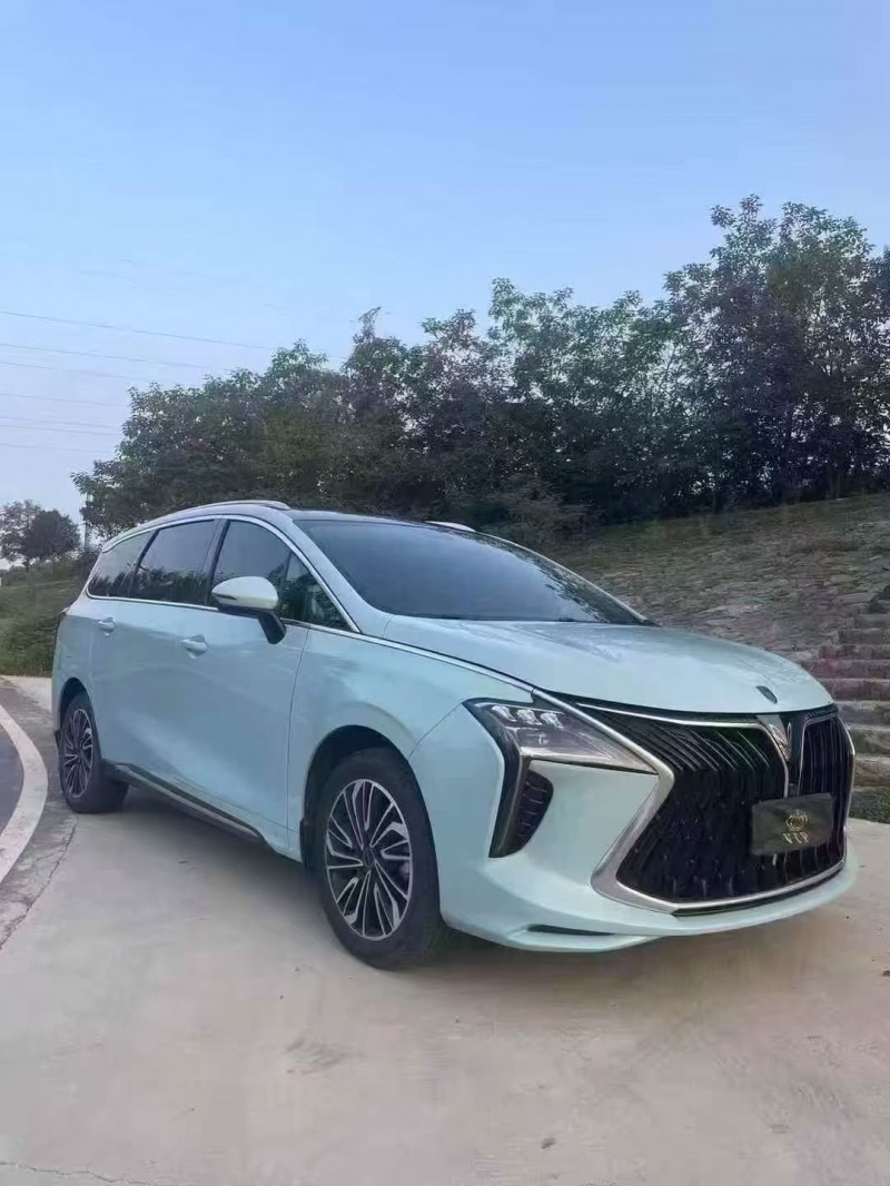 23年开封东风风行游艇