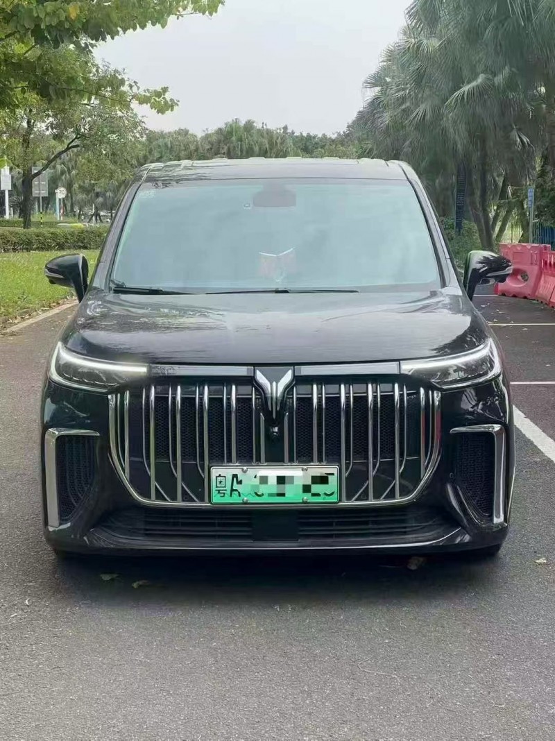 24年深圳岚图汽车梦想家