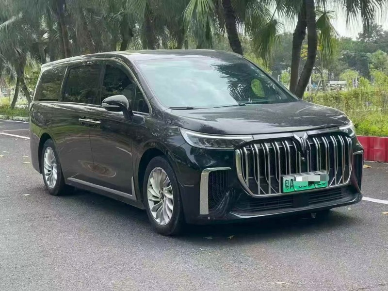 24年深圳岚图汽车梦想家