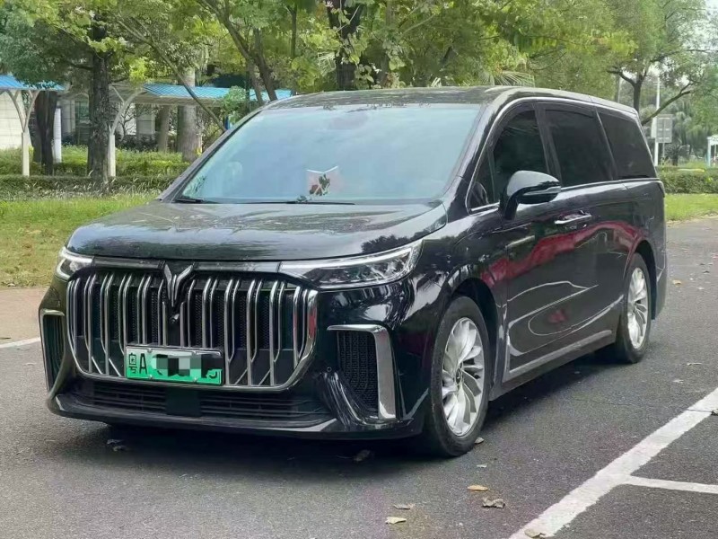 24年深圳岚图汽车梦想家