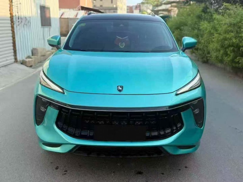 21年莆田东风风行游艇