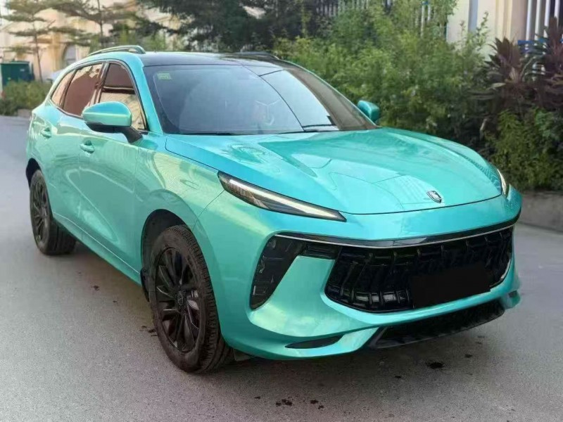 21年莆田东风风行游艇