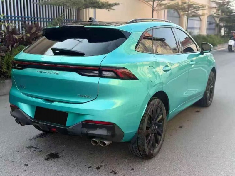 21年莆田东风风行游艇