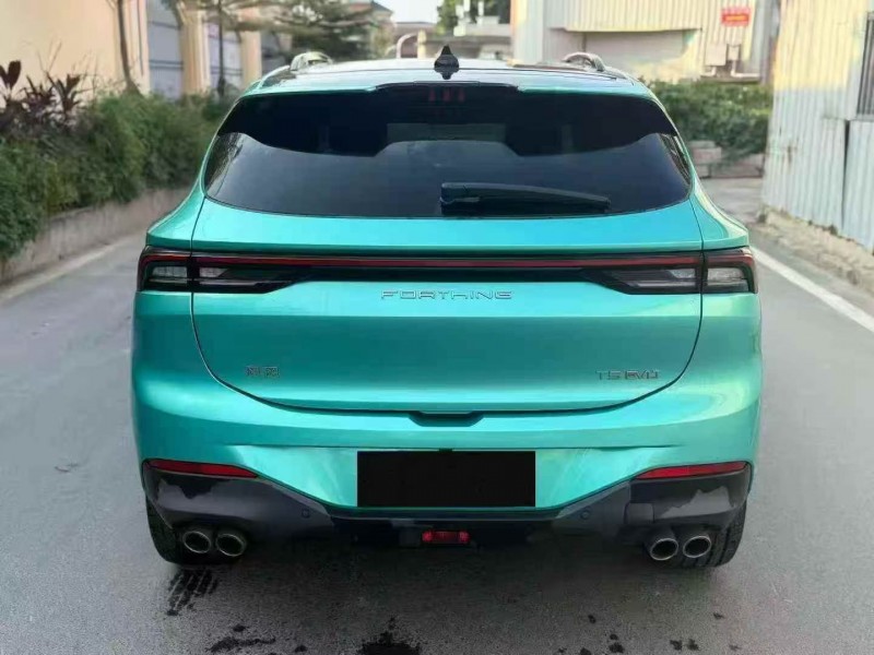 21年莆田东风风行游艇