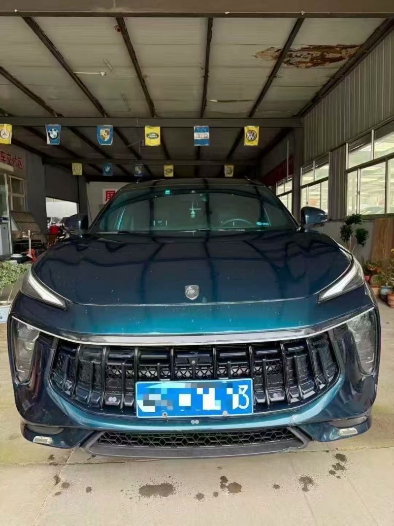 22年枣庄东风风行游艇